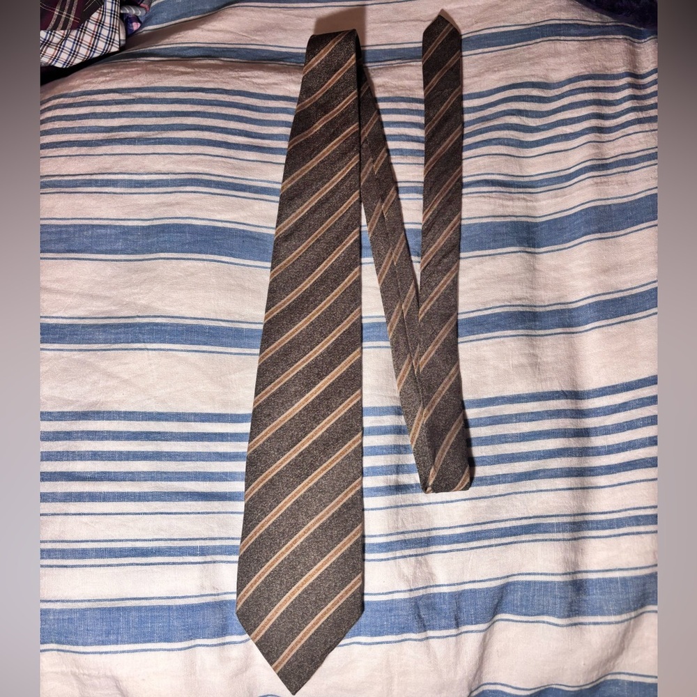 Earth Tones Striped Tie